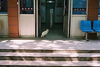 微软前高管：收购动视暴雪花费巨大 微软被迫裁员关闭工作室